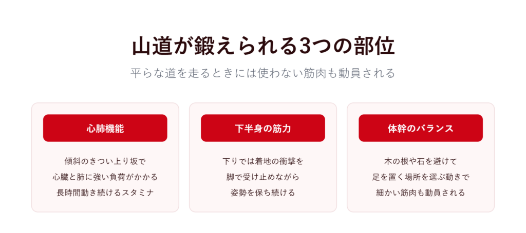 トレランで得られる3つの身体的効果